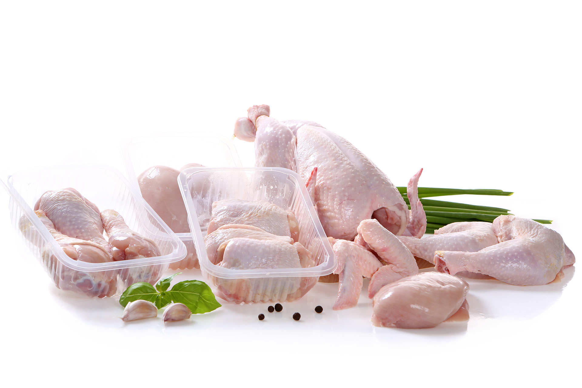 Poultry