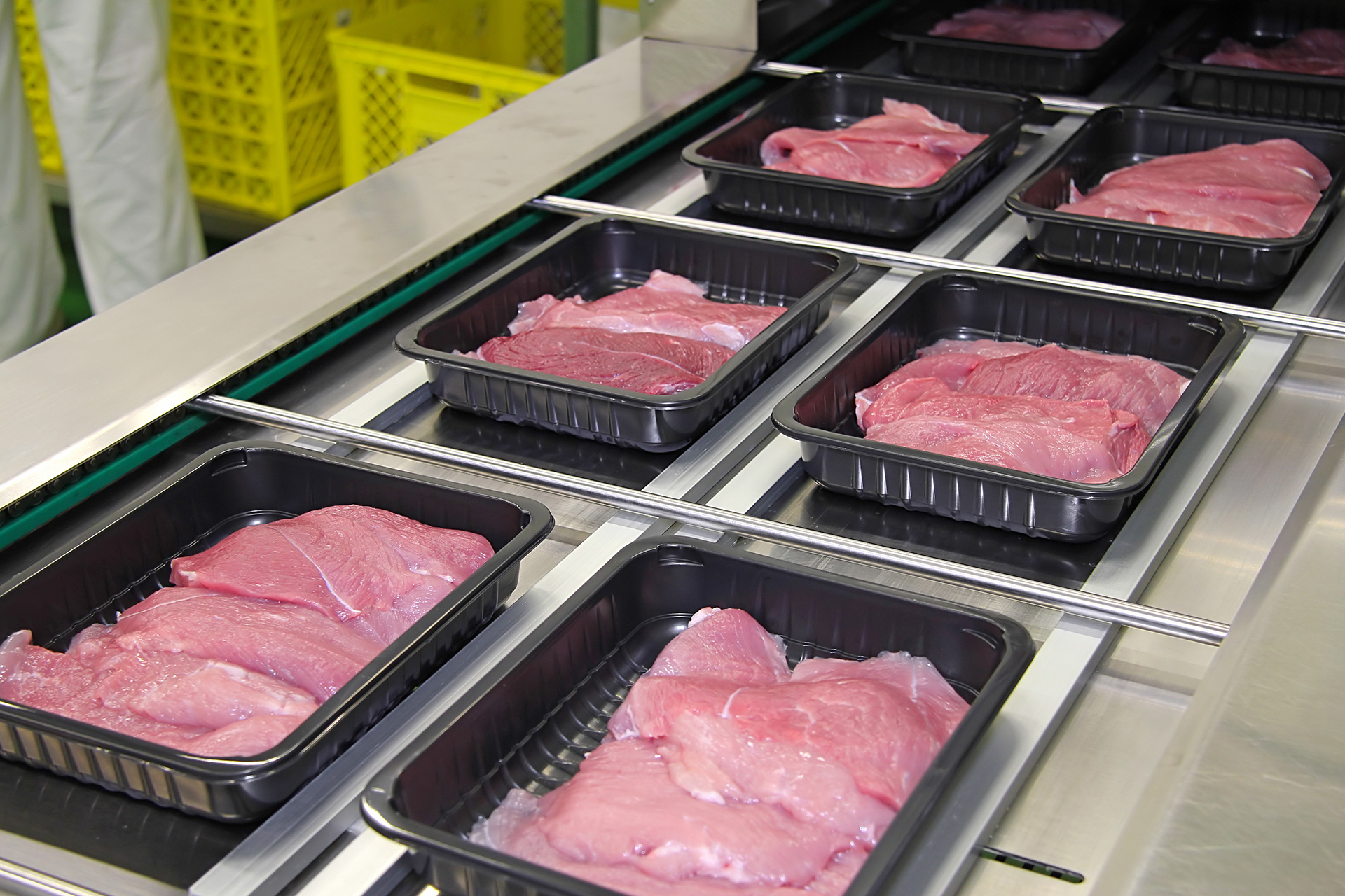 PP Trays